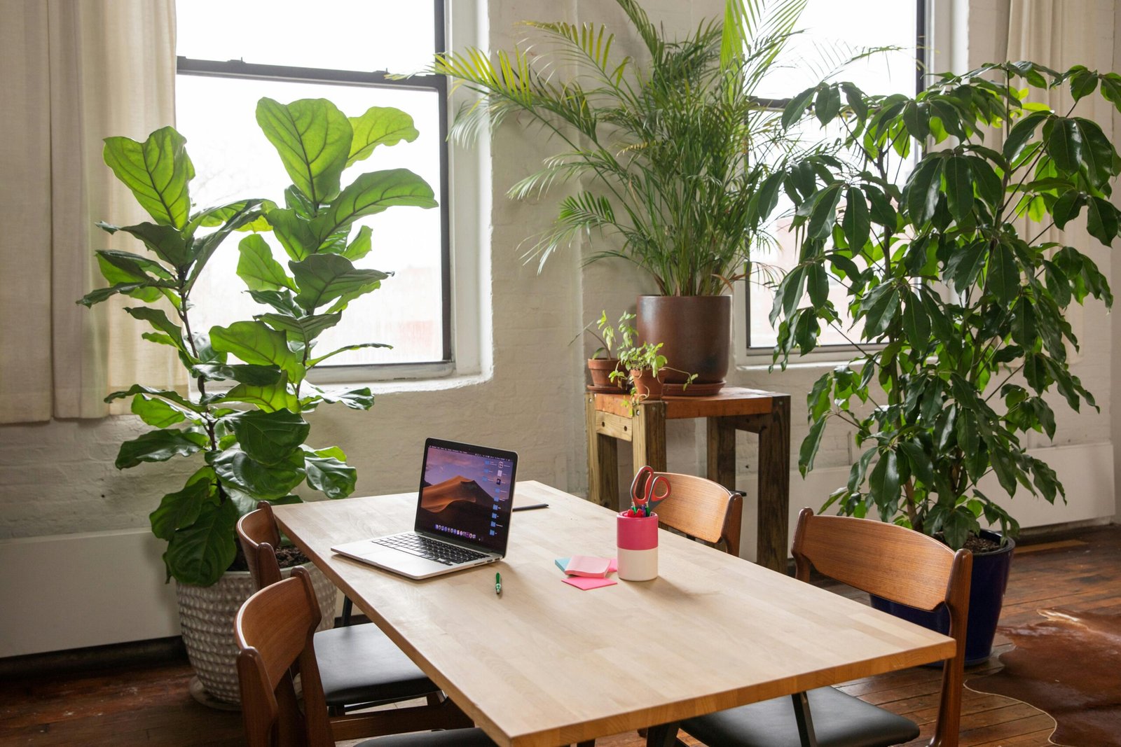 Eco-Friendly Furniture for a Greener Office